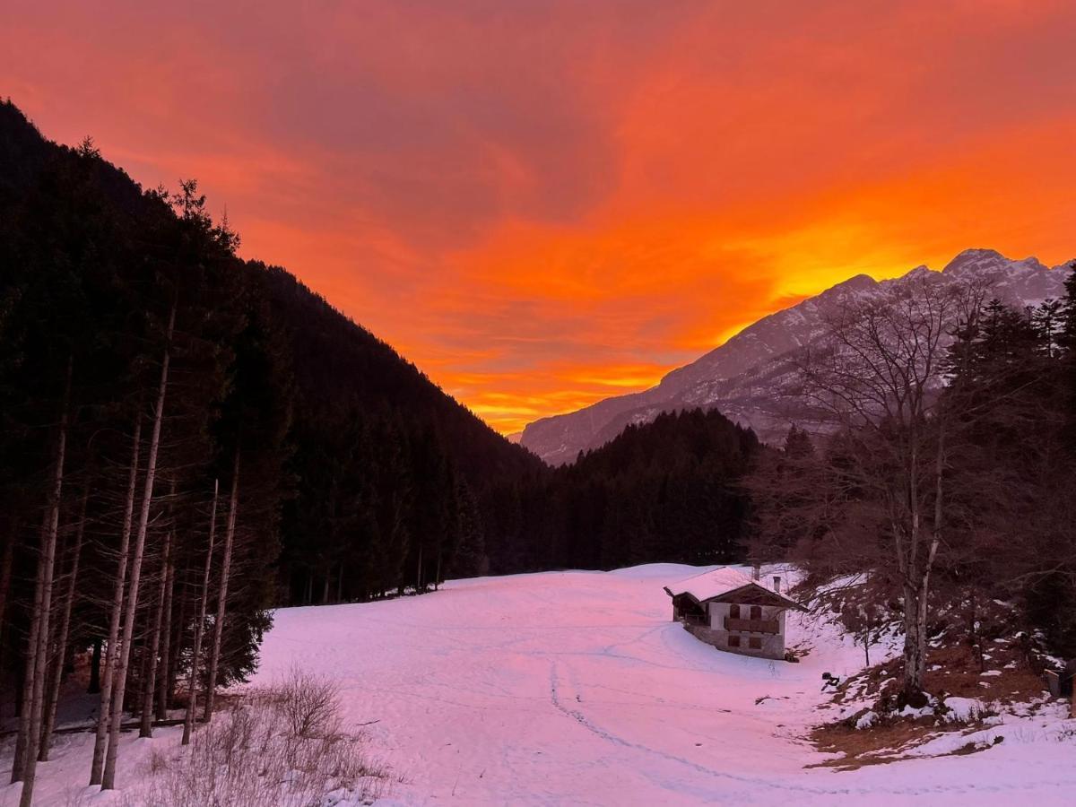 Chalet Relax Molveno E Andalo Dolomitiヴィラ エクステリア 写真