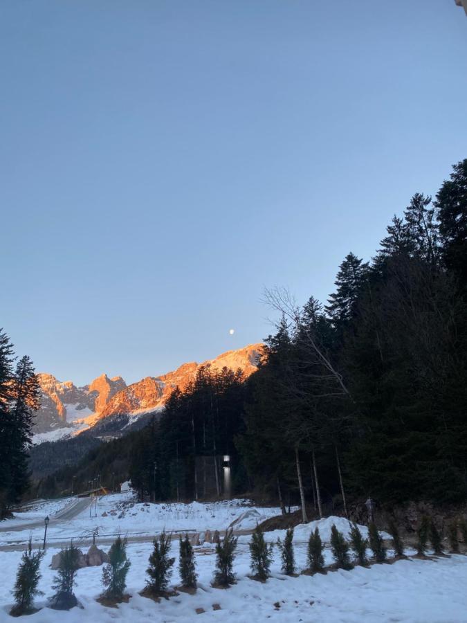 Chalet Relax Molveno E Andalo Dolomitiヴィラ エクステリア 写真