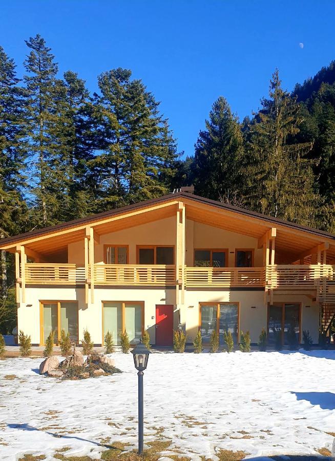 Chalet Relax Molveno E Andalo Dolomitiヴィラ エクステリア 写真