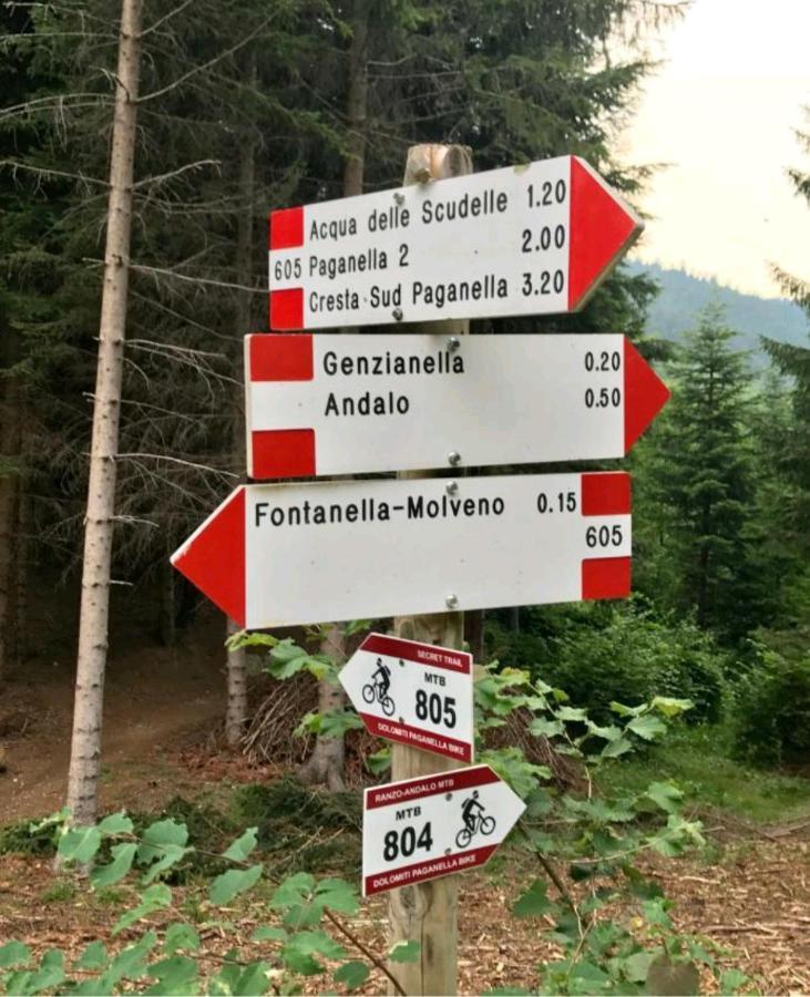 Chalet Relax Molveno E Andalo Dolomitiヴィラ エクステリア 写真
