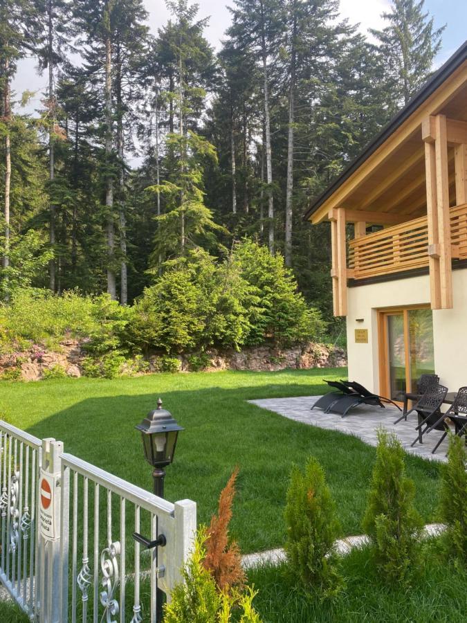 Chalet Relax Molveno E Andalo Dolomitiヴィラ エクステリア 写真