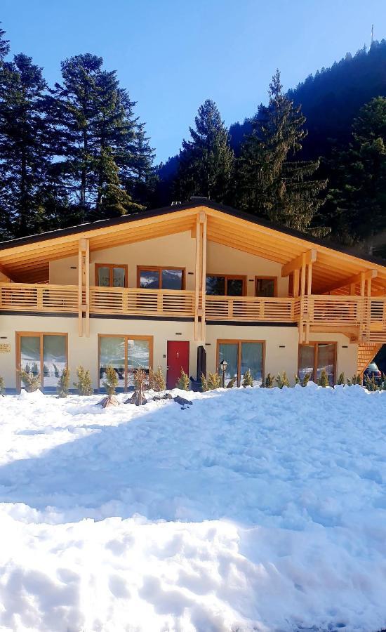 Chalet Relax Molveno E Andalo Dolomitiヴィラ エクステリア 写真