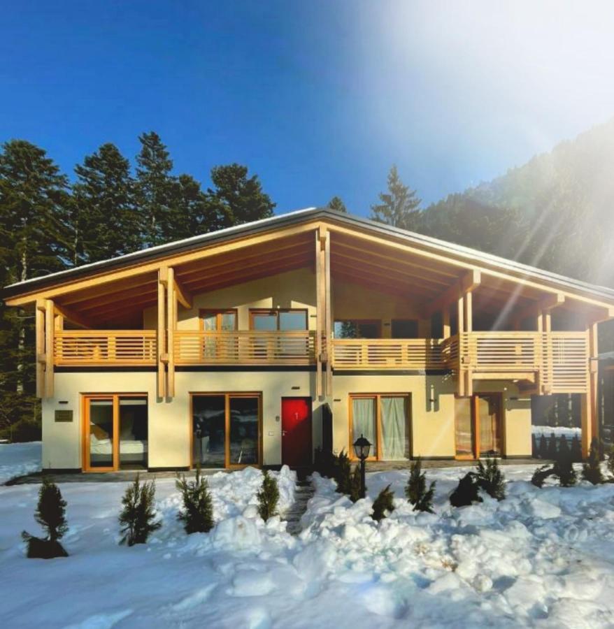Chalet Relax Molveno E Andalo Dolomitiヴィラ エクステリア 写真