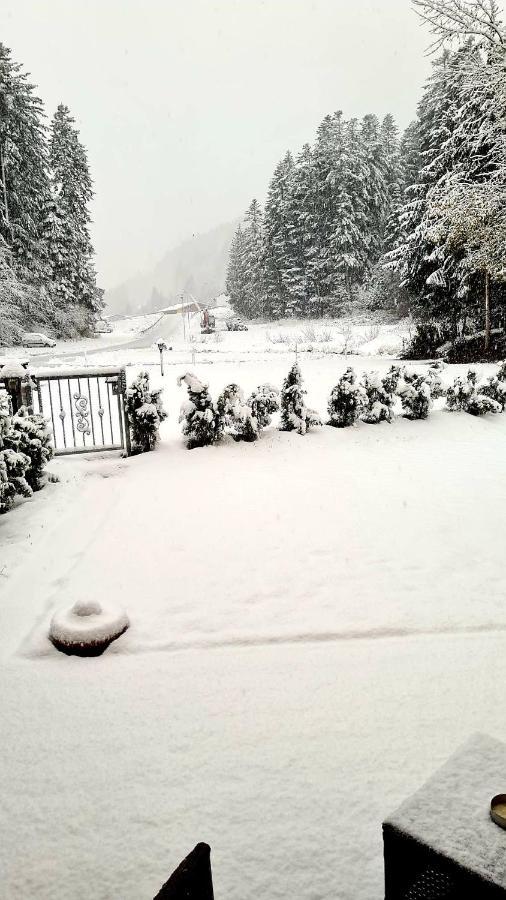 Chalet Relax Molveno E Andalo Dolomitiヴィラ エクステリア 写真