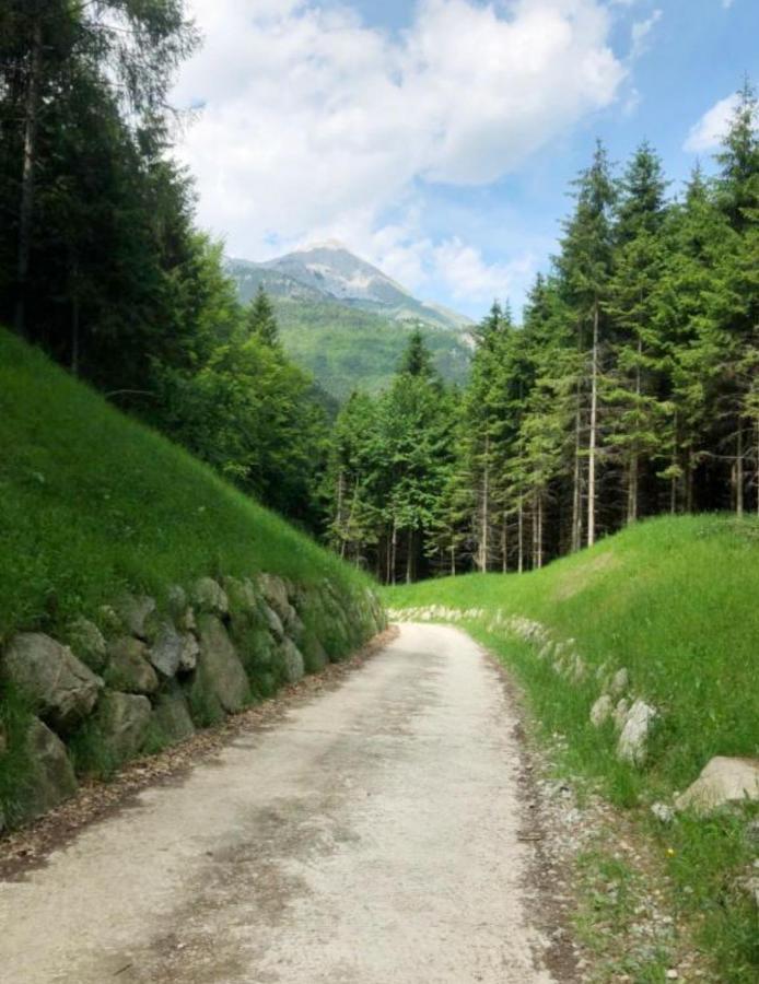 Chalet Relax Molveno E Andalo Dolomitiヴィラ エクステリア 写真