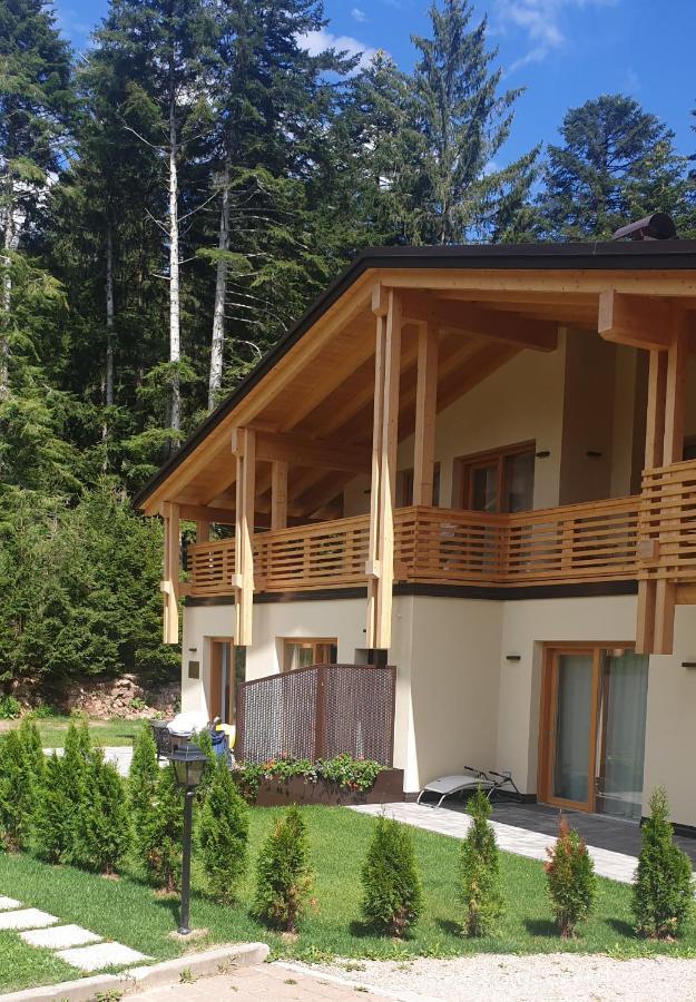 Chalet Relax Molveno E Andalo Dolomitiヴィラ エクステリア 写真