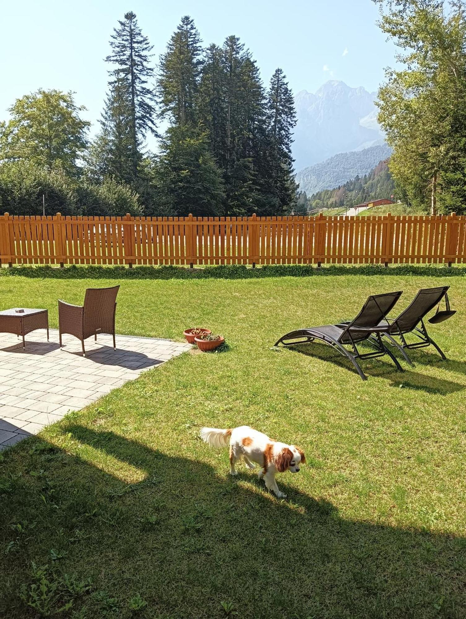 Chalet Relax Molveno E Andalo Dolomitiヴィラ エクステリア 写真