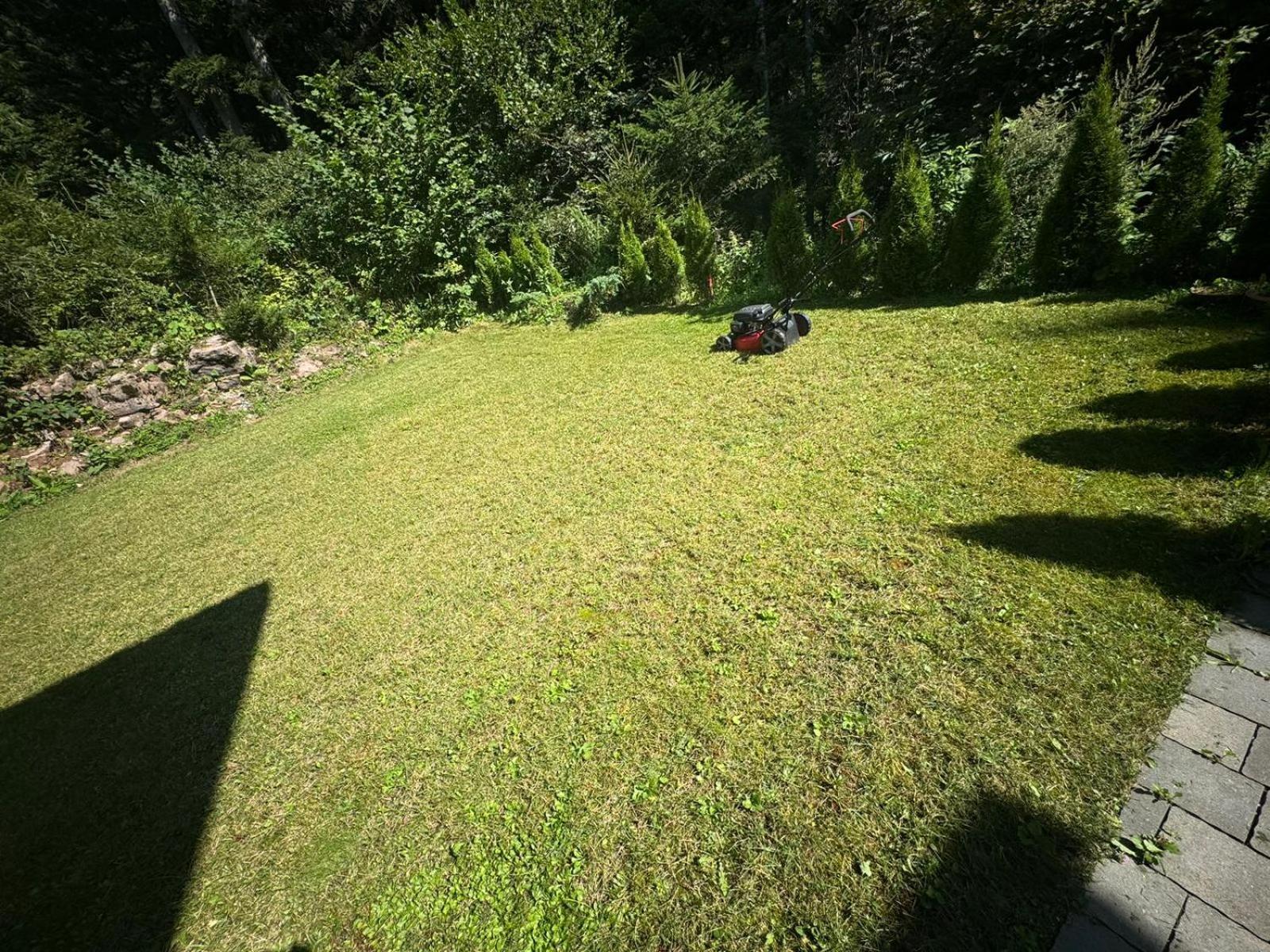 Chalet Relax Molveno E Andalo Dolomitiヴィラ エクステリア 写真